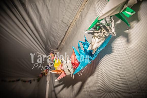 Alex and Rachel - Venue - TJP (5 of 73)