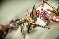 Alex and Rachel - Venue - TJP (7 of 73)