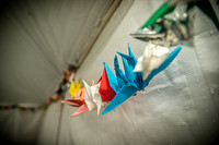 Alex and Rachel - Venue - TJP (6 of 73)