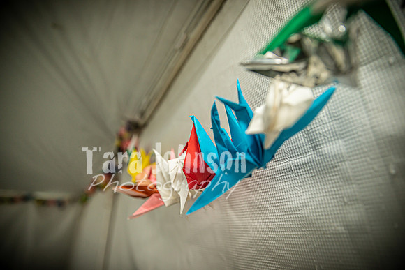 Alex and Rachel - Venue - TJP (6 of 73)