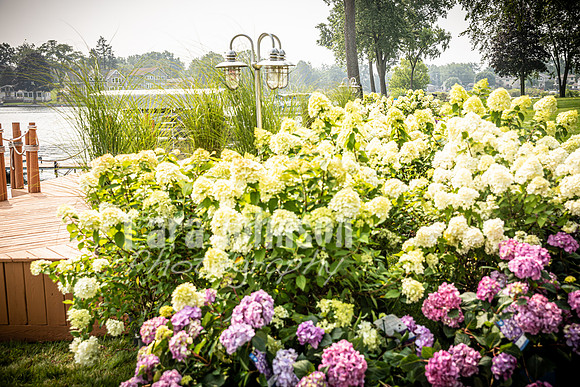 Alex and Rachel - Venue - TJP (47 of 73)