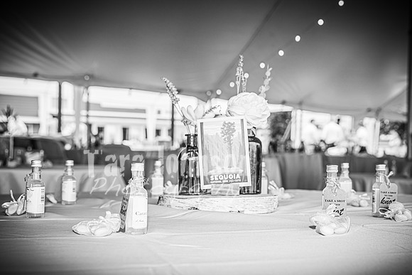 Alex and Rachel - Highlights - BW - TJP (116 of 124)