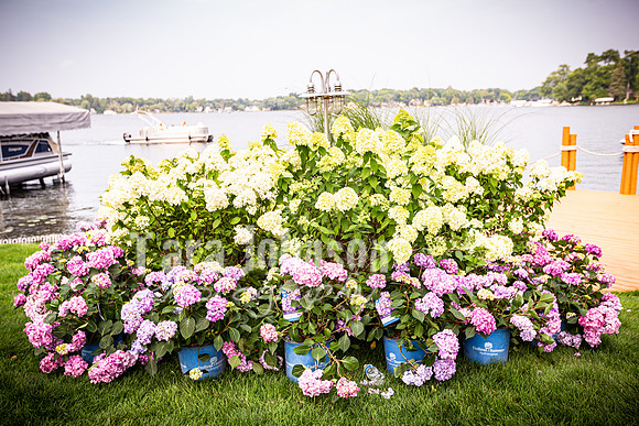 Alex and Rachel - Cert & Bridal Party - TJP (3 of 41)