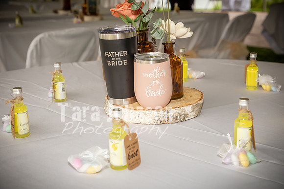 Alex and Rachel - Reception - TJP (3 of 139)
