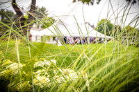 Alex and Rachel - Reception - TJP (8 of 139)