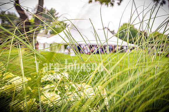 Alex and Rachel - Reception - TJP (8 of 139)