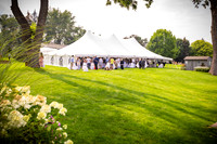 Alex and Rachel - Reception - TJP (7 of 139)