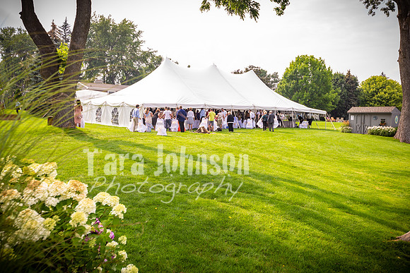 Alex and Rachel - Reception - TJP (7 of 139)