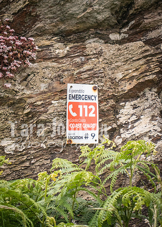 Howth Trip (42 of 55)