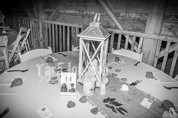 Dayton & Audrey Briggs - Complete - BW - TJP (131 of 646)