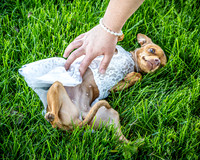 Mitch & Kelly - Ceremony - TJP (4 of 174)