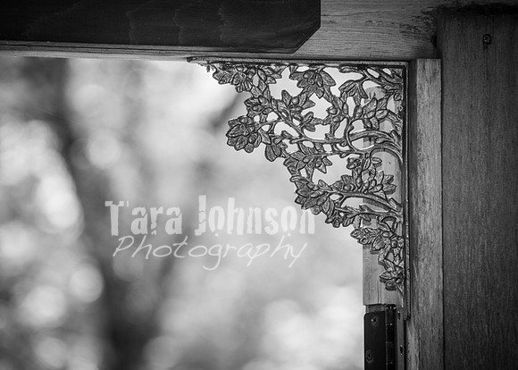 24 D & B Law Wedding - Full Collection B&W (19 of 308)