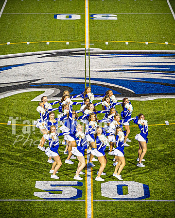 2023 LHS Pom vs. MHS - TJP (20 of 23)