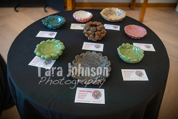 2025 OLSM Art Show - Gala 3-31-25 - TJP (27 of 90)