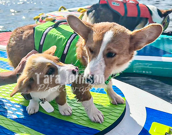 2023 Cedar Island Flotilla - TJP (18 of 35)