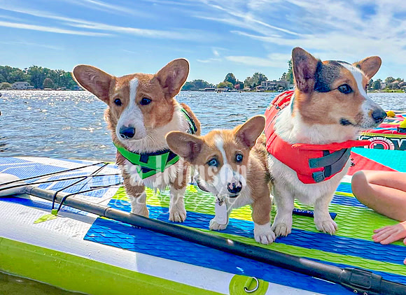 2023 Cedar Island Flotilla - TJP (19 of 35)