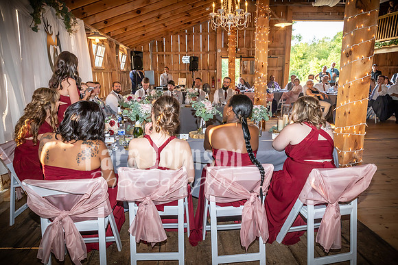 Evan & Shelby - Reception Entrance & Speeches - TJP (79 of 94)