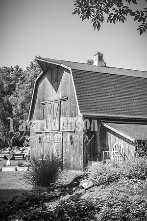 Tim & Corrissa - Complete - BW - TJP (19 of 585)
