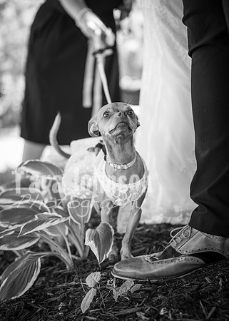 24 M. & K. Eaton Wedding [Highlights B&W] - DH (1 of 47)