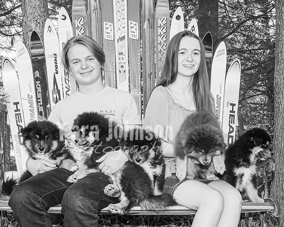 Bryde Family & Finish Lapphund Pups - BW - TJP (28 of 60)