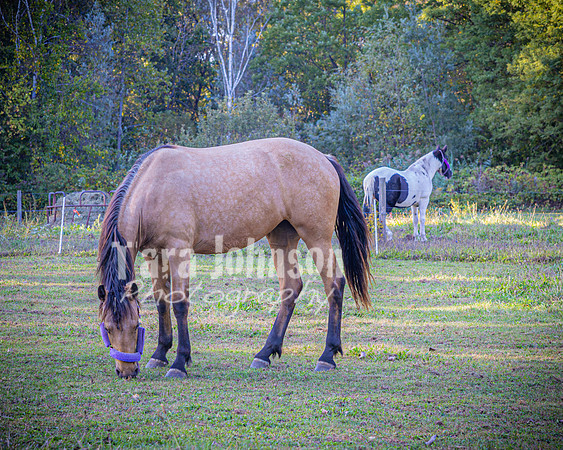 Michael & Ashlee McGrath - Complete - Color - TJP (205 of 428)