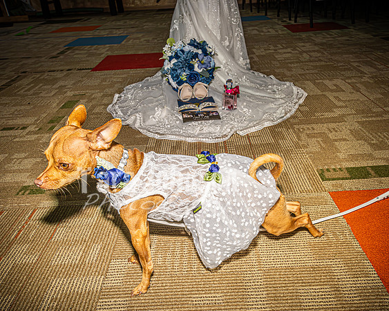 Mitch & Kelly - Bride & Groom - TJP (78 of 212)