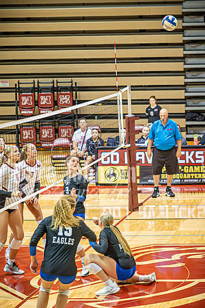 24 LHS Vball vs. MHS 9-19 - TJP (125 of 156)