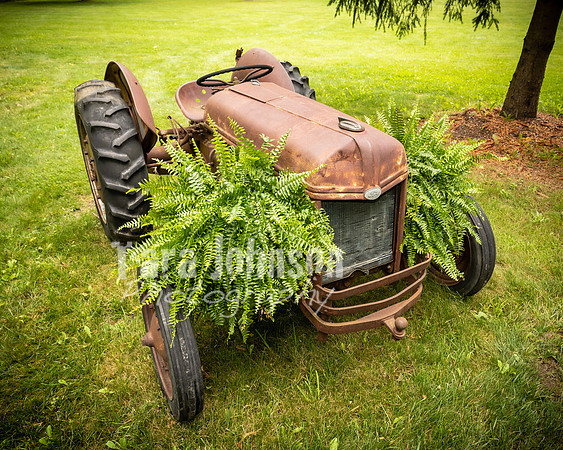 Evan & Shelby - Venue - TJP (39 of 90)