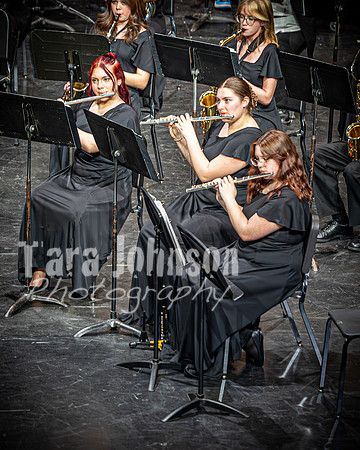 2024 MHS Band - Spring Concert - TJP (8 of 179)