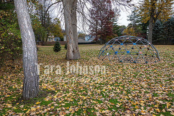 Homestead - 3202 Pridham (8 MB max) - TJP (4 of 42)