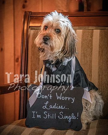 Brendan and Alexa - Groomsmen - TJP (13 of 31)