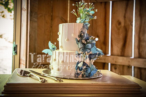Brendan and Alexa - Reception  - Dinner - TJP (27 of 55)