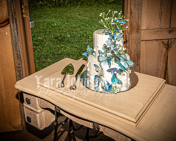 Brendan and Alexa - Reception - End Events - TJP (1 of 119)