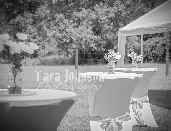Brendan and Alexa - Complete - BW - TJP (17 of 765)