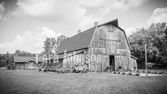 Brendan and Alexa - Complete - BW - TJP (15 of 765)