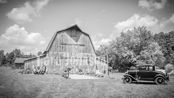 Brendan and Alexa - Complete - BW - TJP (26 of 765)