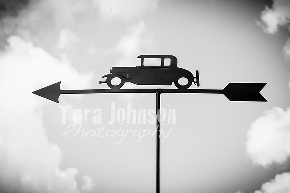 Brendan and Alexa - Complete - BW - TJP (34 of 765)