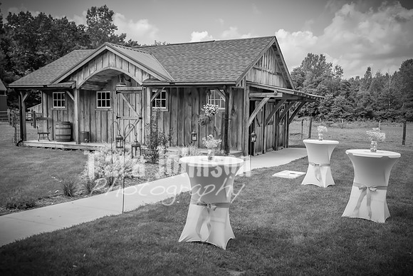 Brendan and Alexa - Complete - BW - TJP (33 of 765)