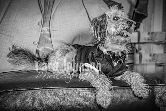 Brendan and Alexa - Complete - BW - TJP (41 of 765)