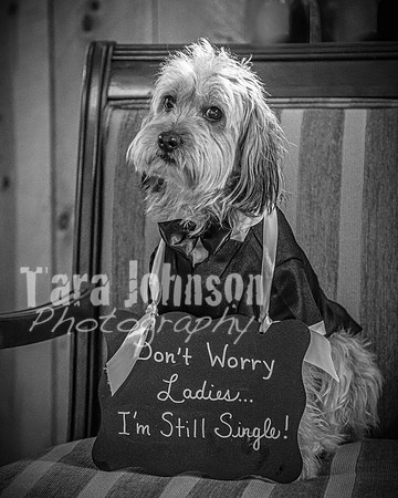 Brendan and Alexa - Complete - BW - TJP (45 of 765)