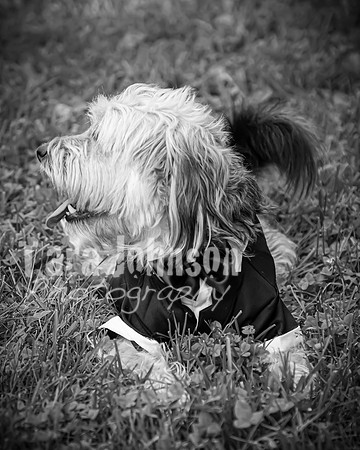 Brendan and Alexa - Complete - BW - TJP (87 of 765)