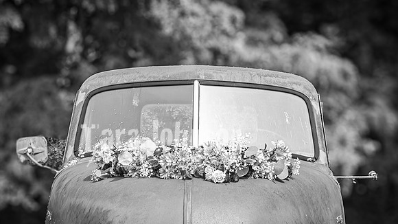Doug & Bridget Law - Complete - BW - TJP (136 of 551)