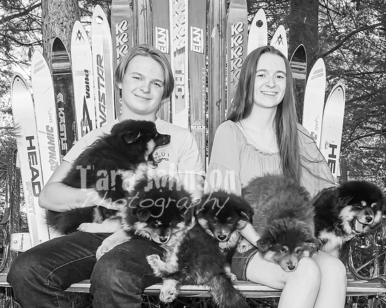 Bryde Family & Finish Lapphund Pups - BW - TJP (30 of 60)
