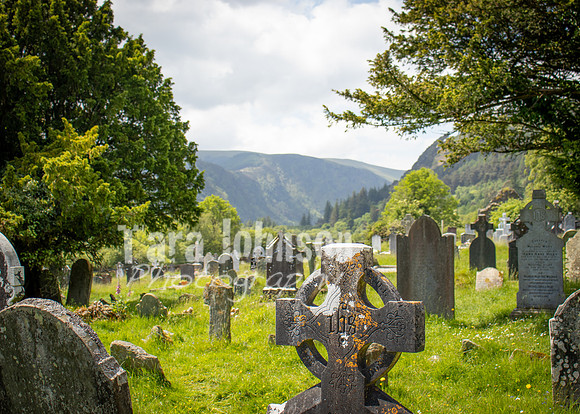 Glendalough Field Trip (47 of 117)