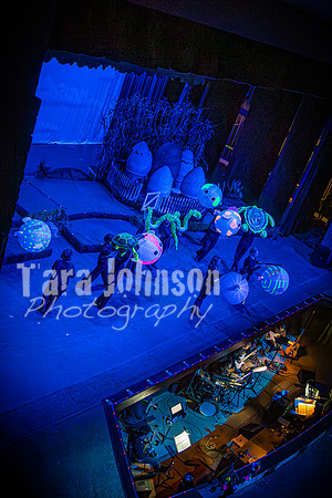2024 MTC - Honk - Final Show (Saturday) - TJP (239 of 1152)