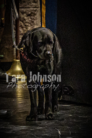 2023 LHS Veterans Assembly - TJP (57 of 116)