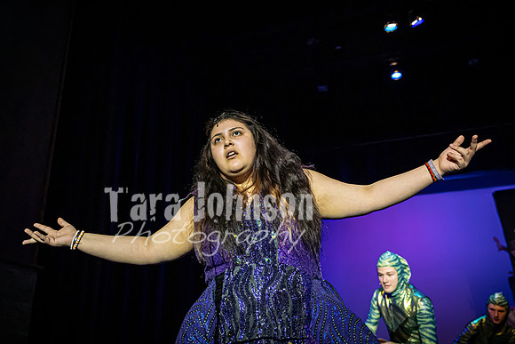 22 LHS Theatre - Mermaid R1 - Act 1 - TJP (133 of 363)