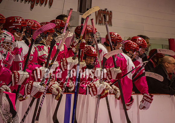 2025 Pink In The Rink- AA (26 of 29)