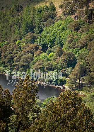 Glendalough Field Trip (81 of 117)