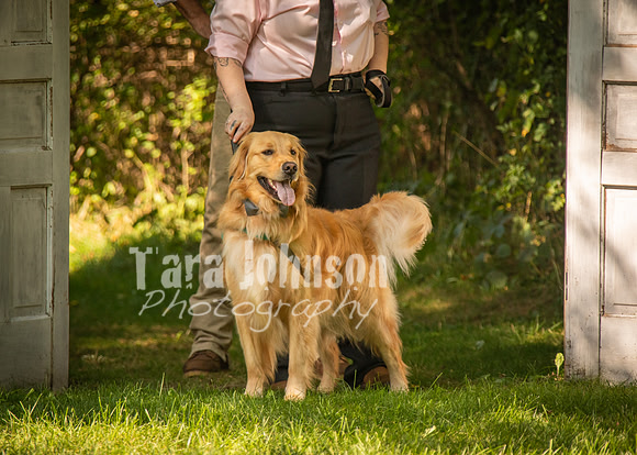 24 D & B Law Wedding - Full Collection (161 of 308)